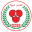 تضامن شبوة