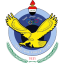 القوة الجوية