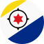 بونير