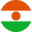 النيجر
